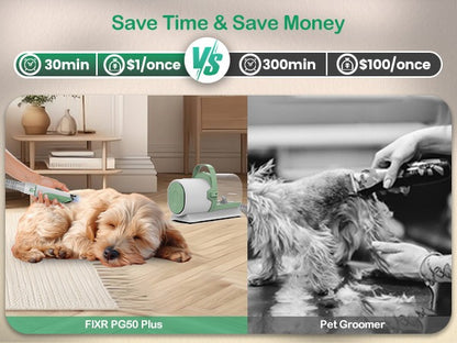 Make Your Pet Look Incredible At Home Grooming Set Up