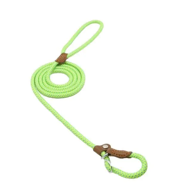 Super Convenient Collar/Leash Combo