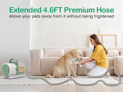 Make Your Pet Look Incredible At Home Grooming Set Up