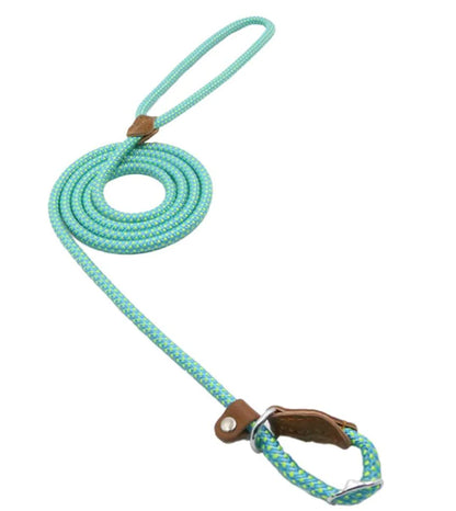 Super Convenient Collar/Leash Combo