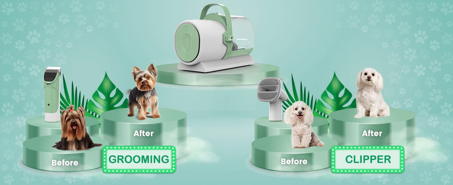 Make Your Pet Look Incredible At Home Grooming Set Up