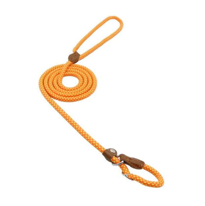 Super Convenient Collar/Leash Combo