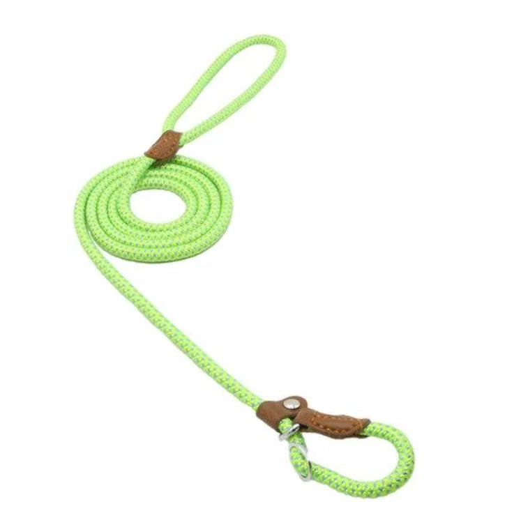 Super Convenient Collar/Leash Combo