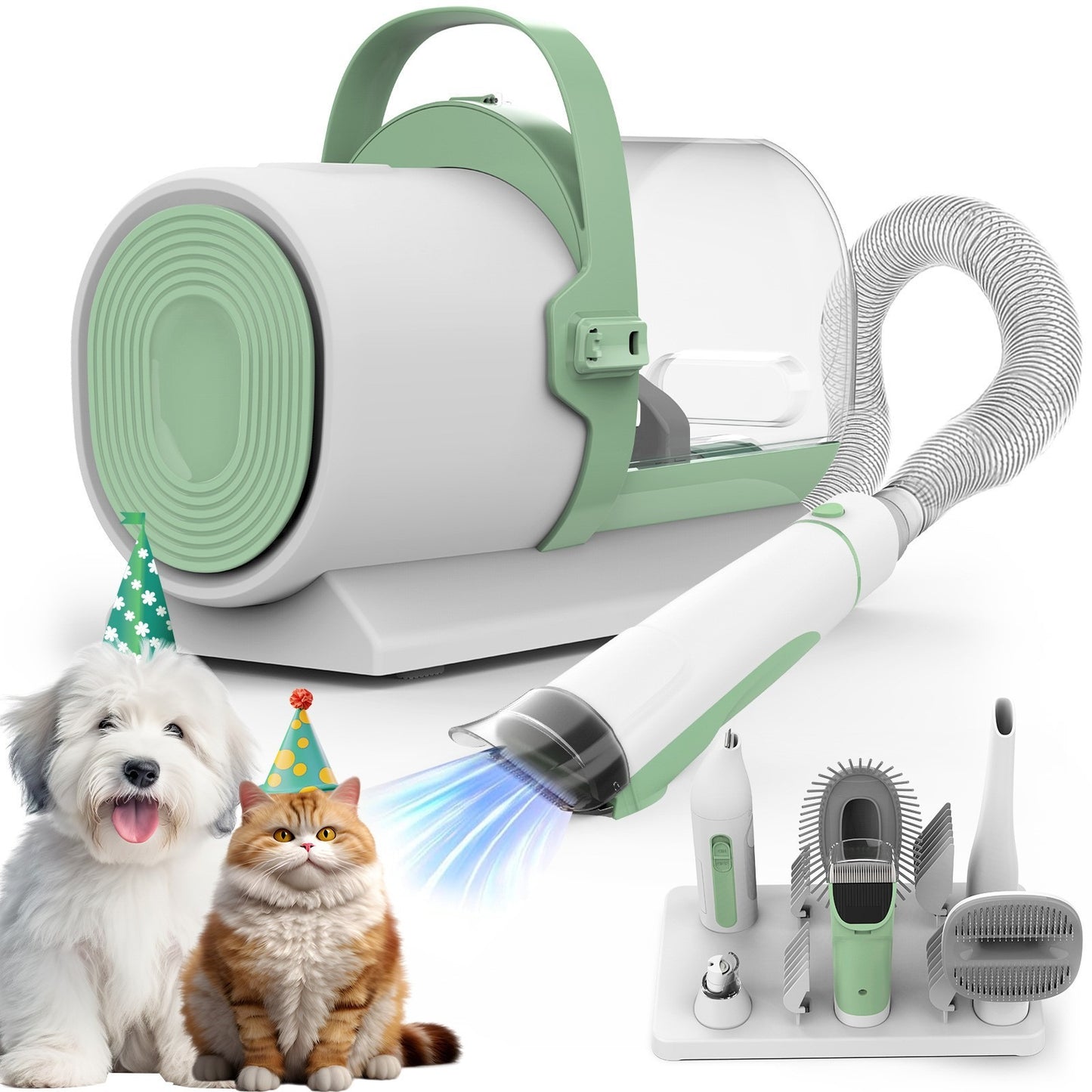 Make Your Pet Look Incredible At Home Grooming Set Up
