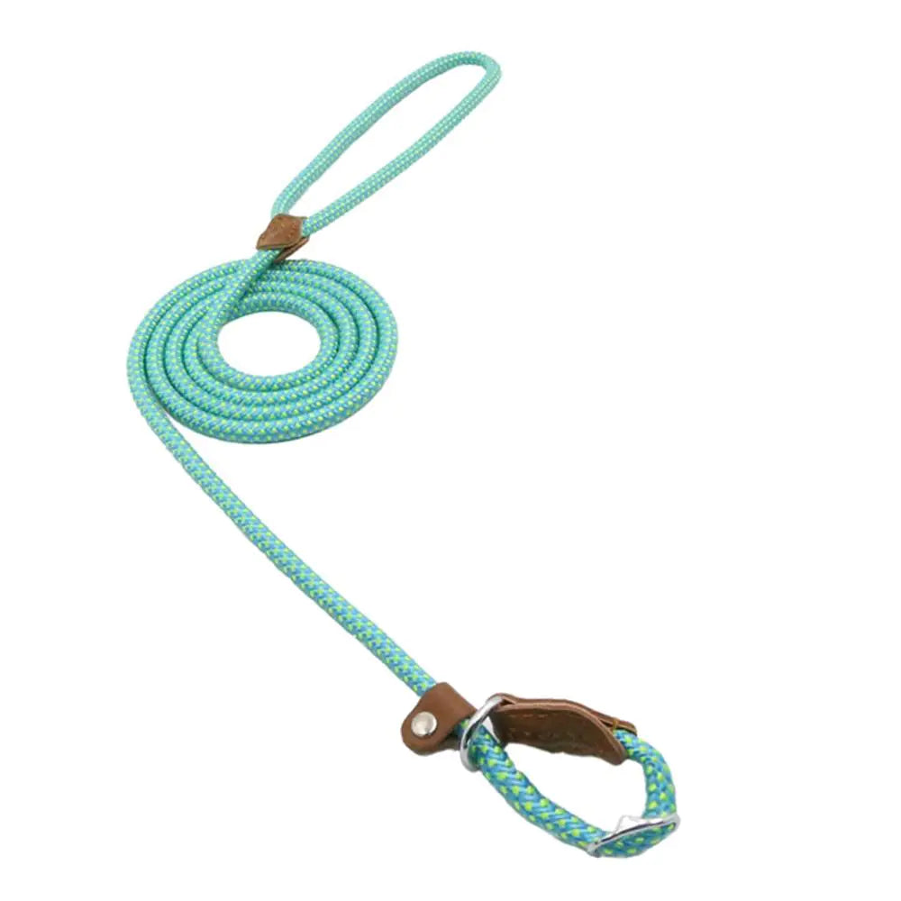 Super Convenient Collar/Leash Combo