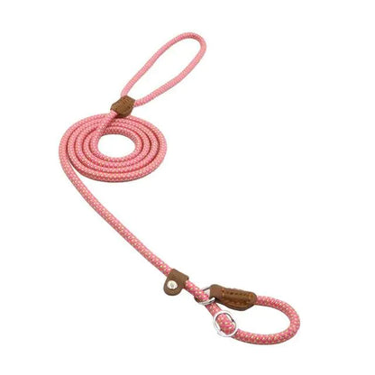 Super Convenient Collar/Leash Combo