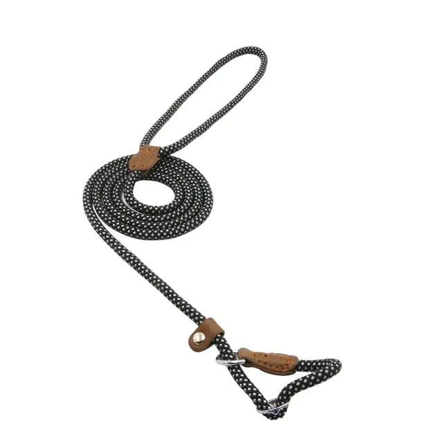 Super Convenient Collar/Leash Combo