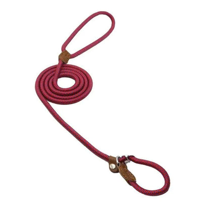 Super Convenient Collar/Leash Combo