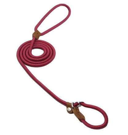 Super Convenient Collar/Leash Combo