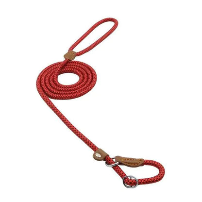 Super Convenient Collar/Leash Combo