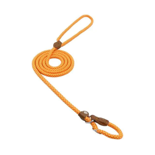 Super Convenient Collar/Leash Combo