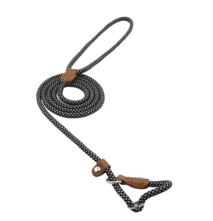 Super Convenient Collar/Leash Combo