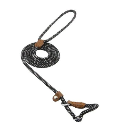 Super Convenient Collar/Leash Combo
